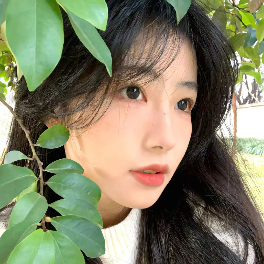 只有我没有猫